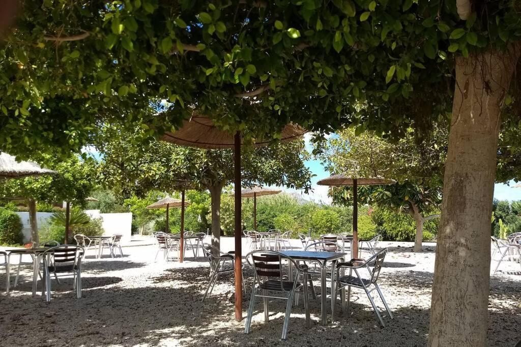 Beachfront Apt! Ac - Pool - Parking Appartement Altea Buitenkant foto
